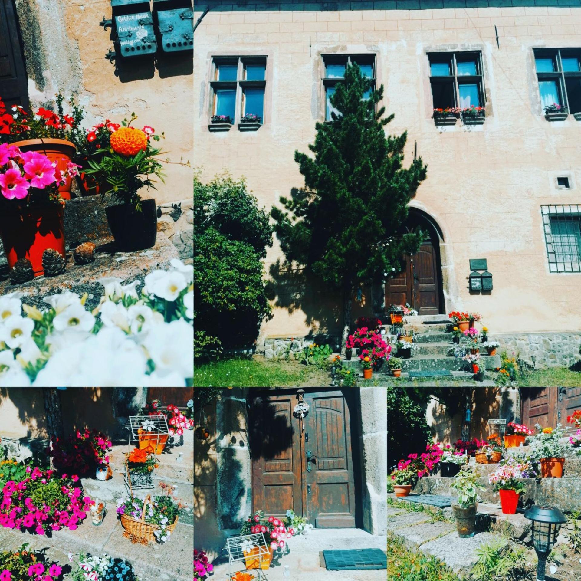 Gothic House Apartments Kremnica Exteriör bild